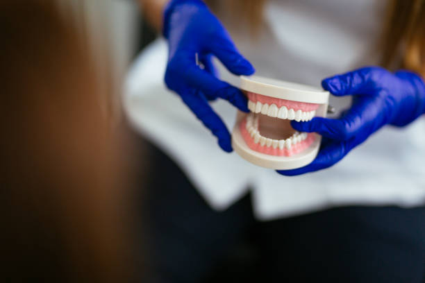  Fernandina Beach, FL Holistic Dental Services Pros